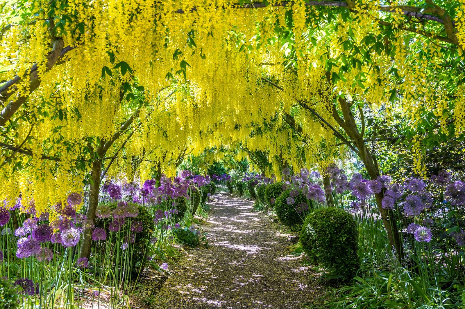 Dorothy Clive Garden - Image 1