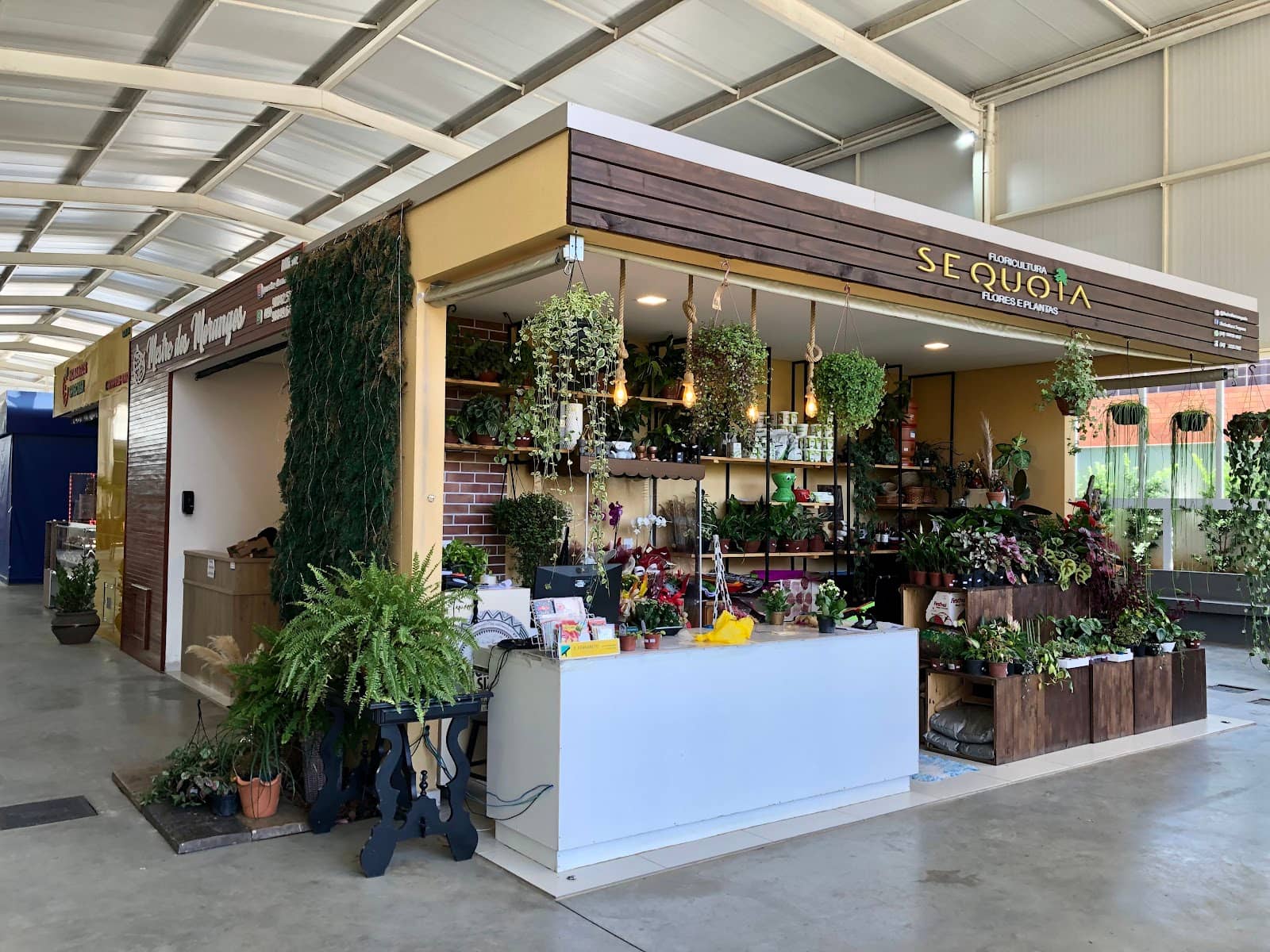 Craft Beer Selection