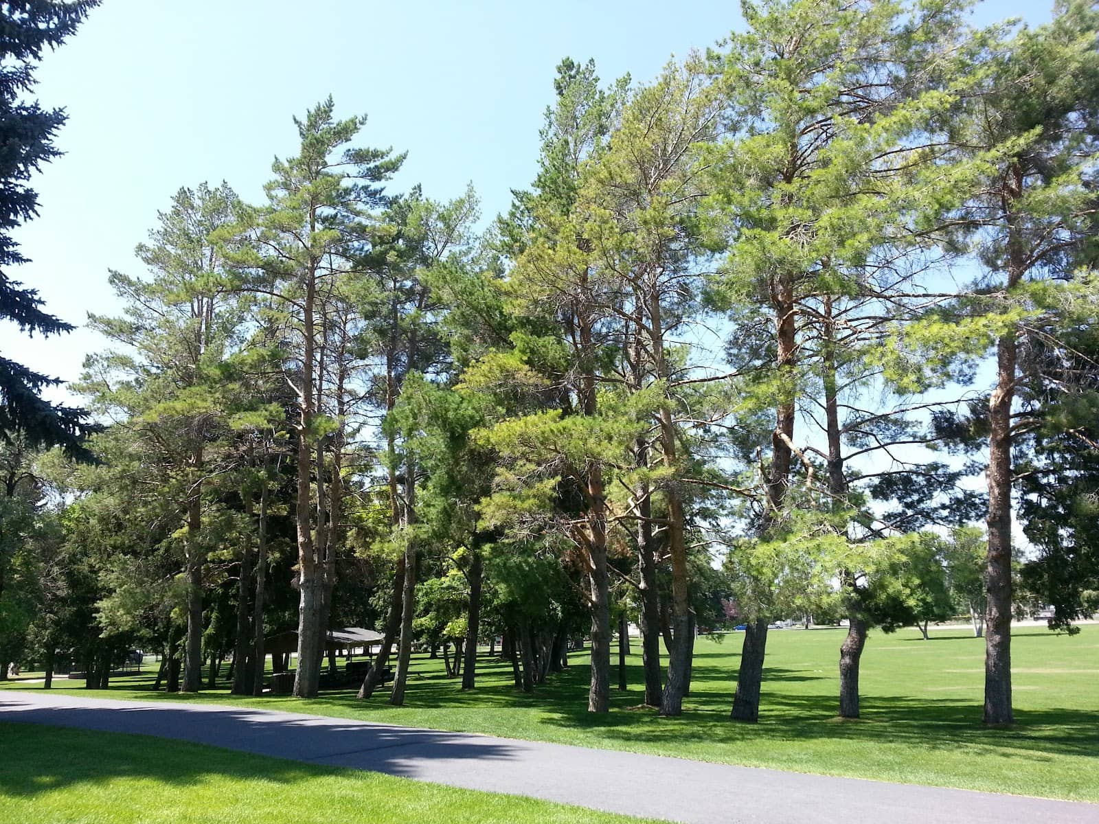 Playground & Open Fields