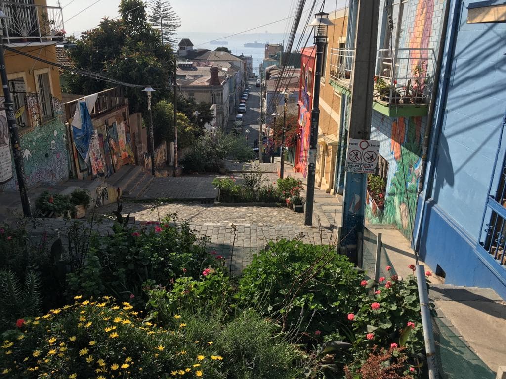 Calle Templeman - Image 1