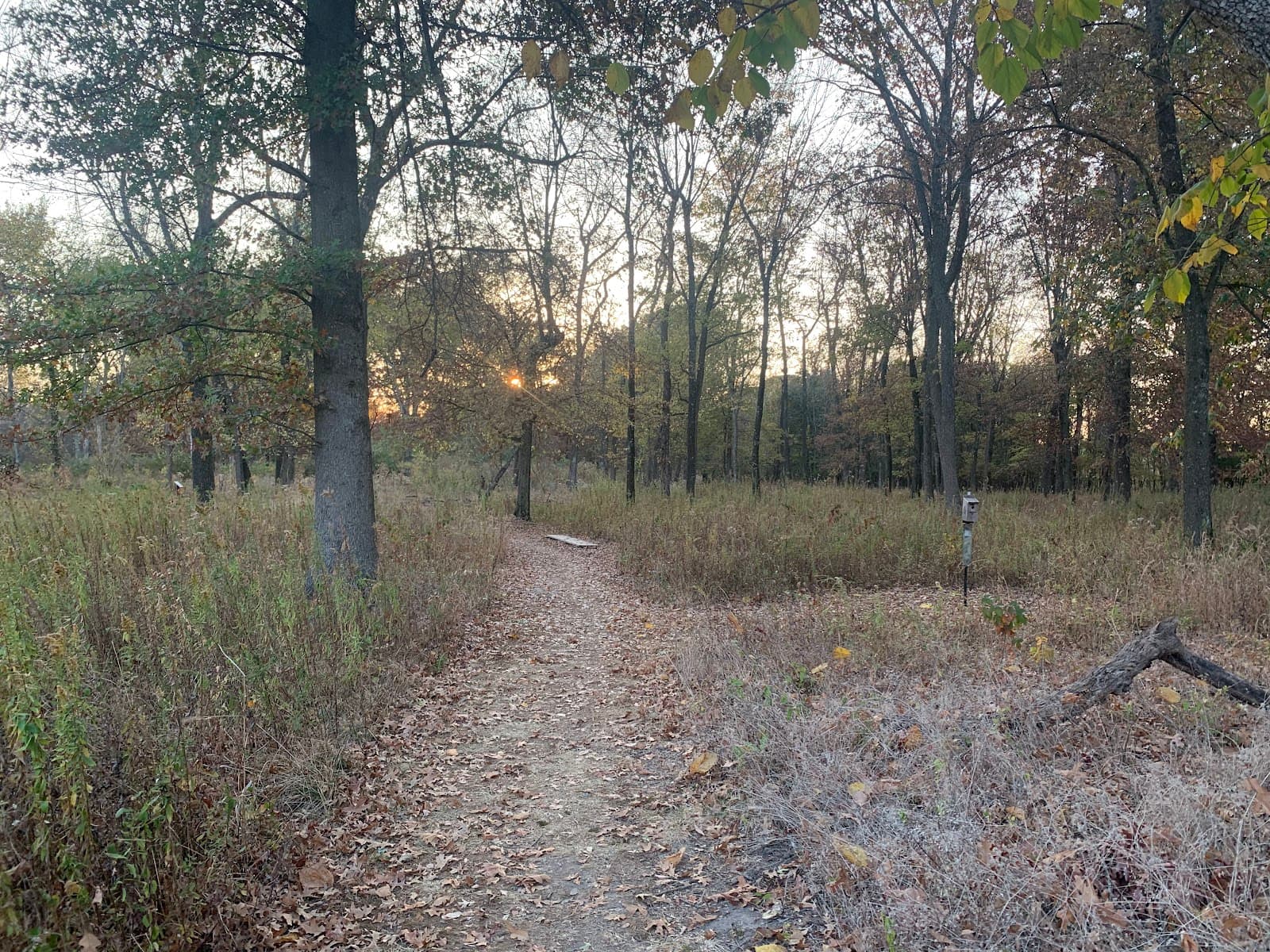 Wilson Springs Preserve - Image 1