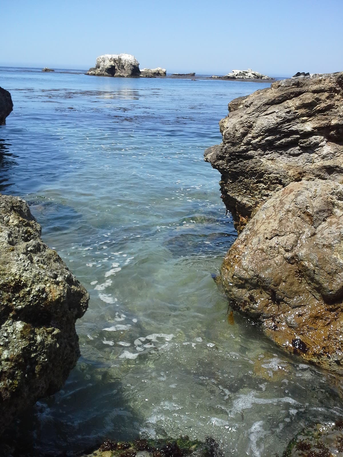 Shell Beach - Image 1