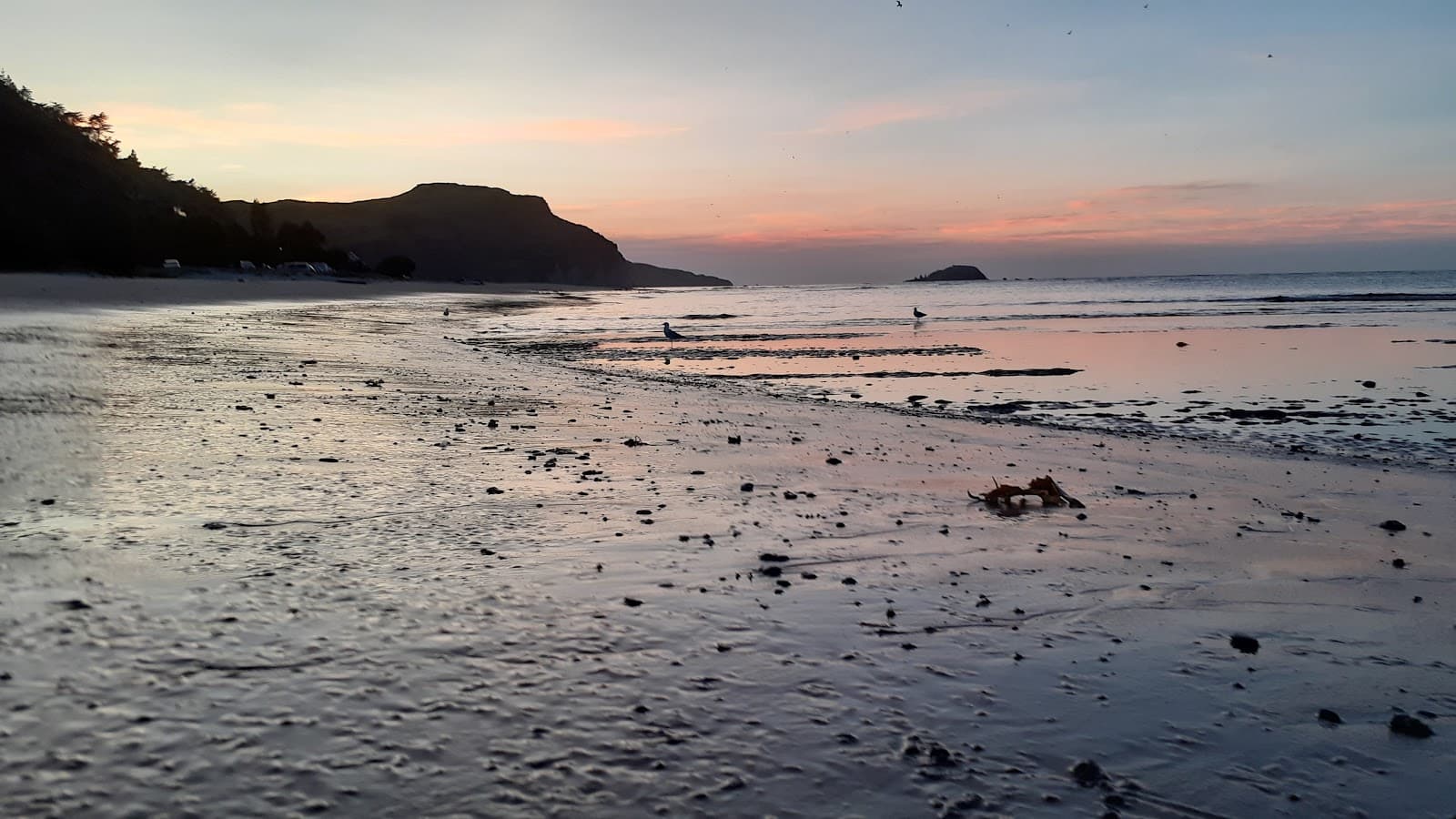 Kaiti Beach - Image 1