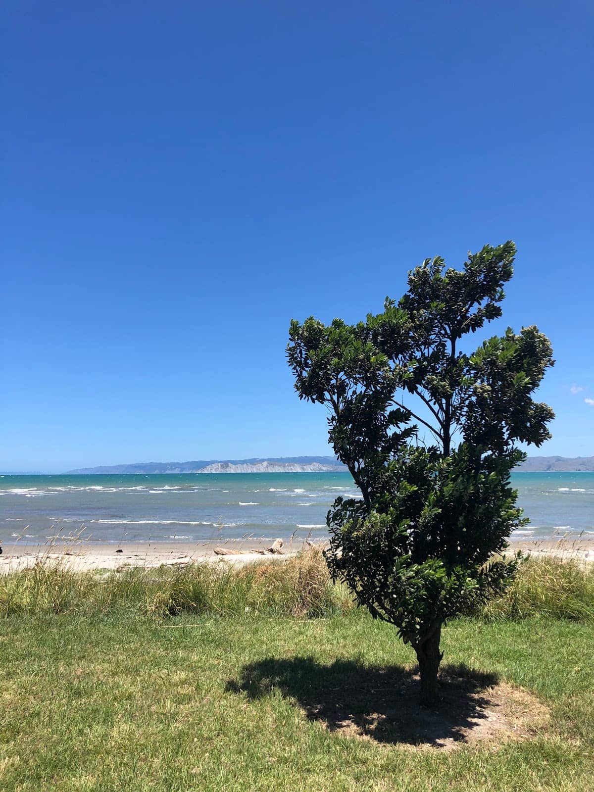 Vertical photo