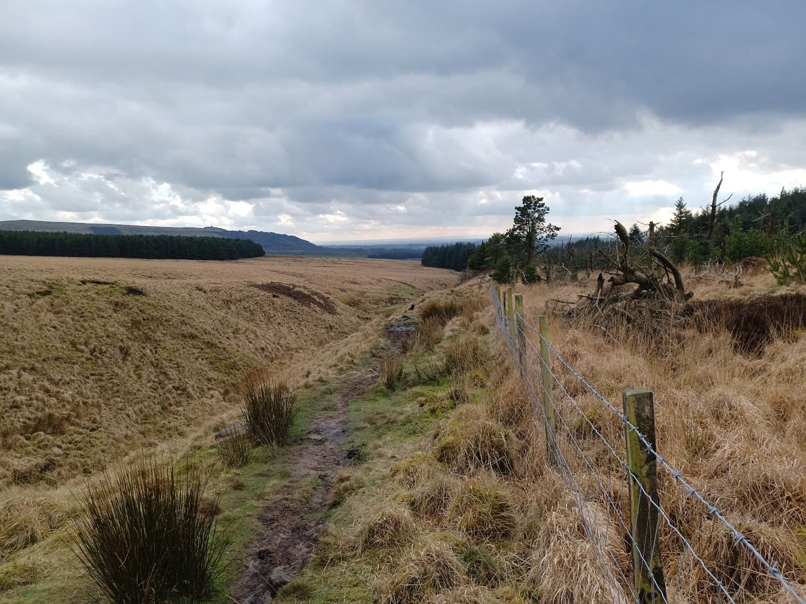 Anglezarke Moor - Image 1