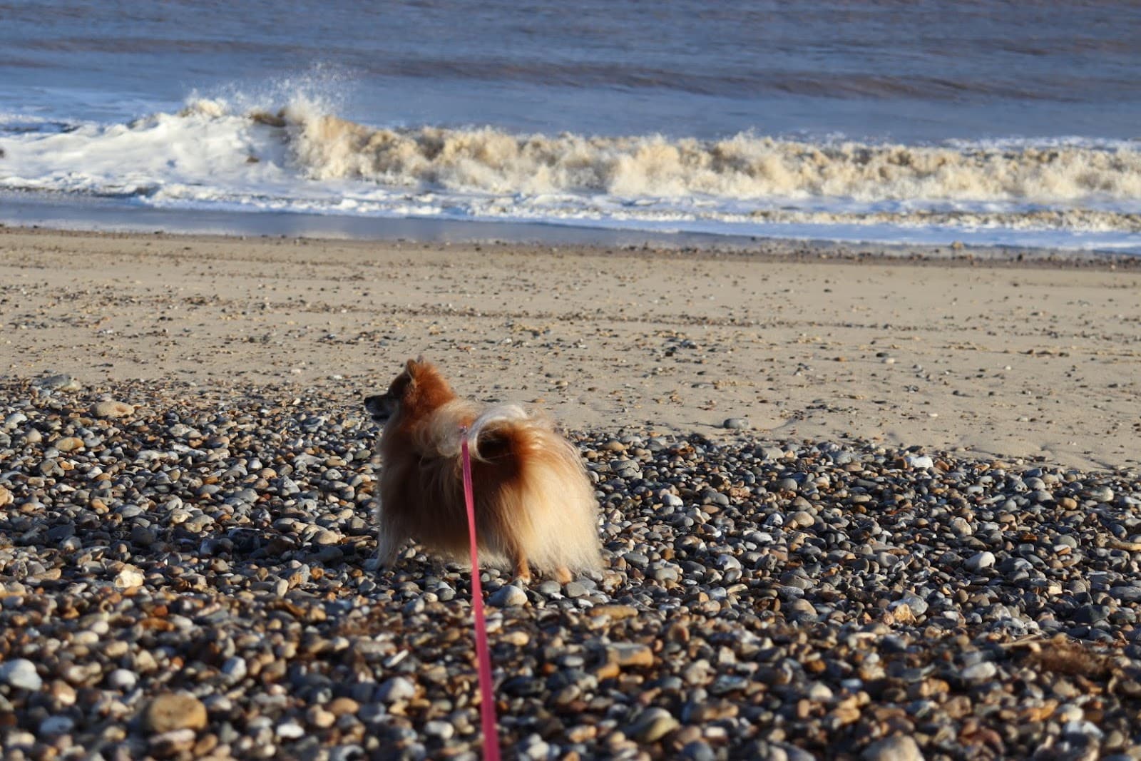 Kessingland Beach - Image 1