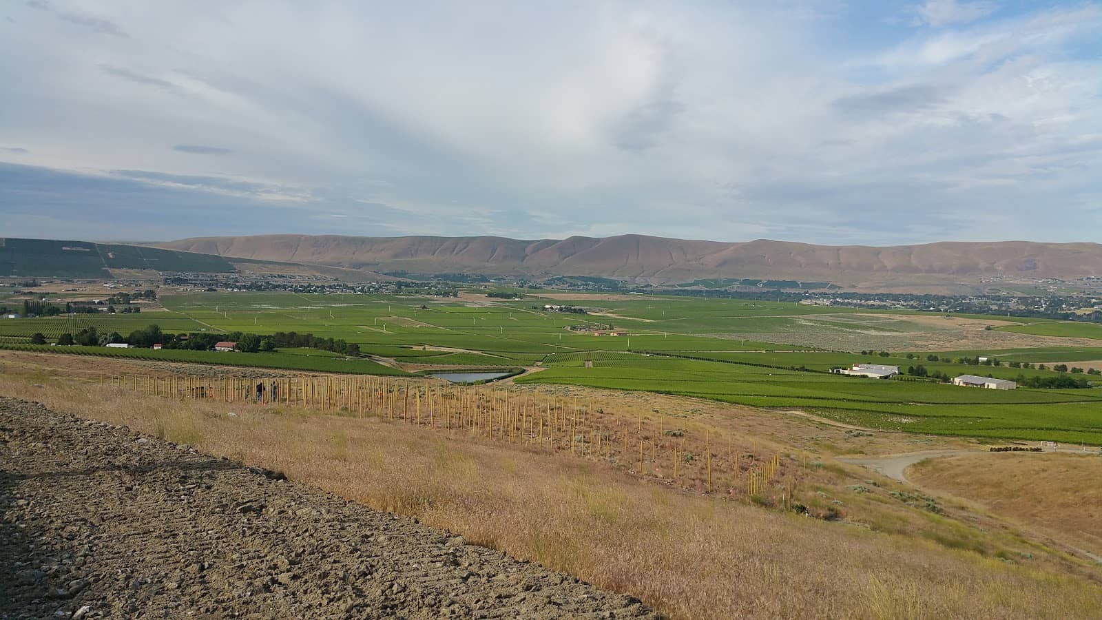 Barnard Griffin Winery