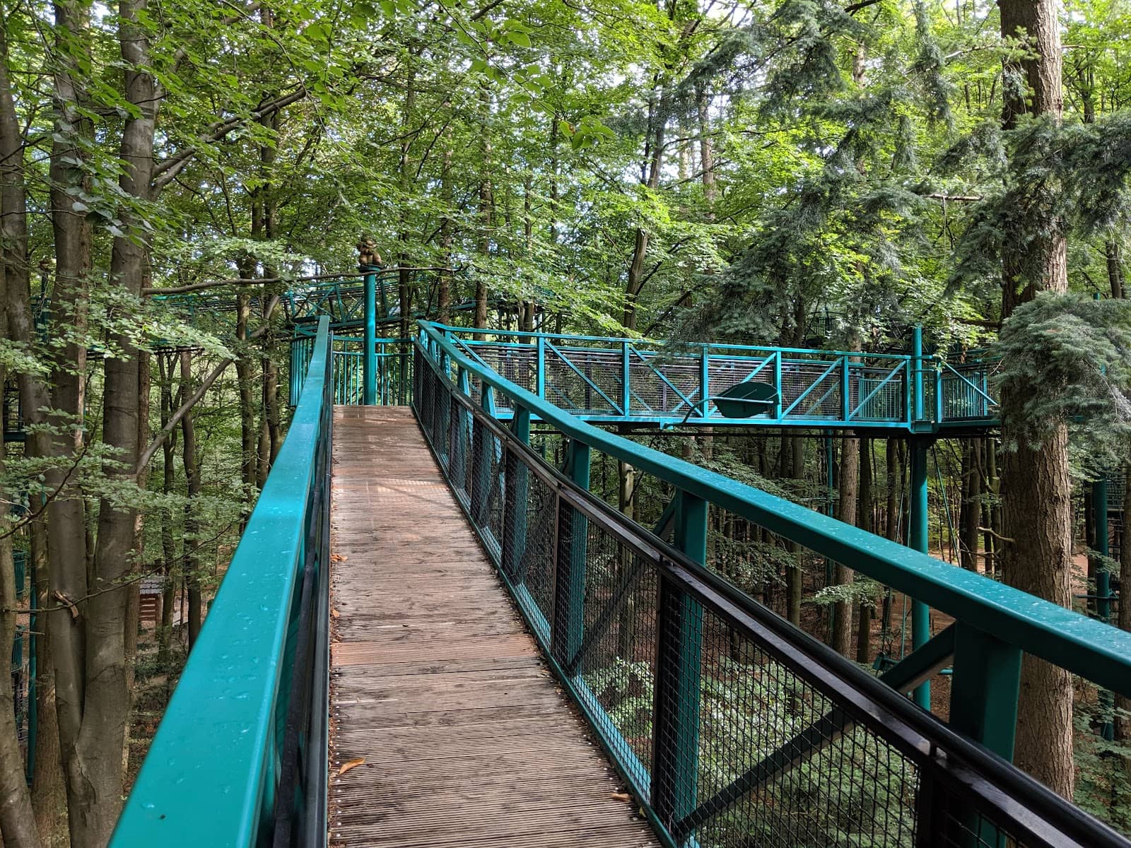 Children's Playground