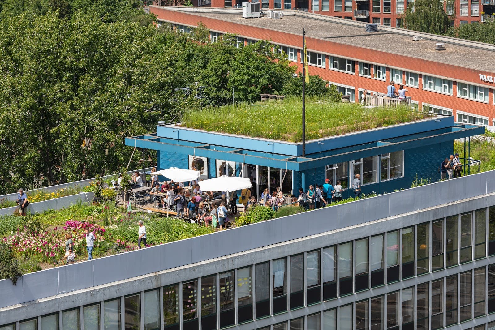 DakAkker Rooftop Farm - Image 1