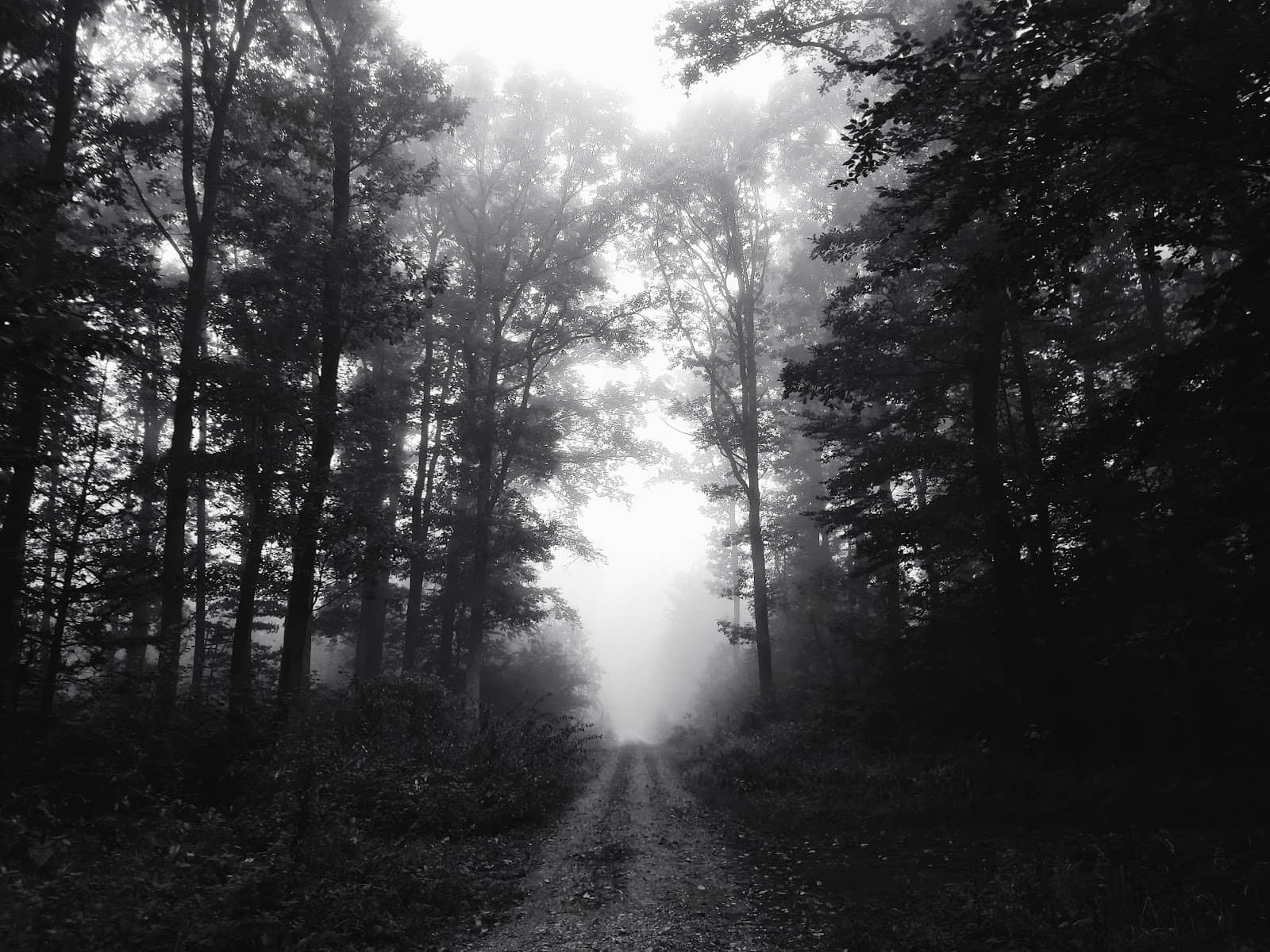 Altes Rathaus (Old Town Hall)