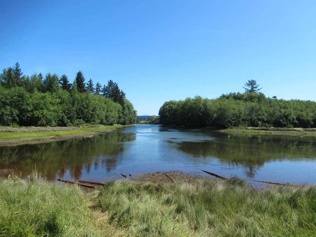 Coastal Views & Wildlife