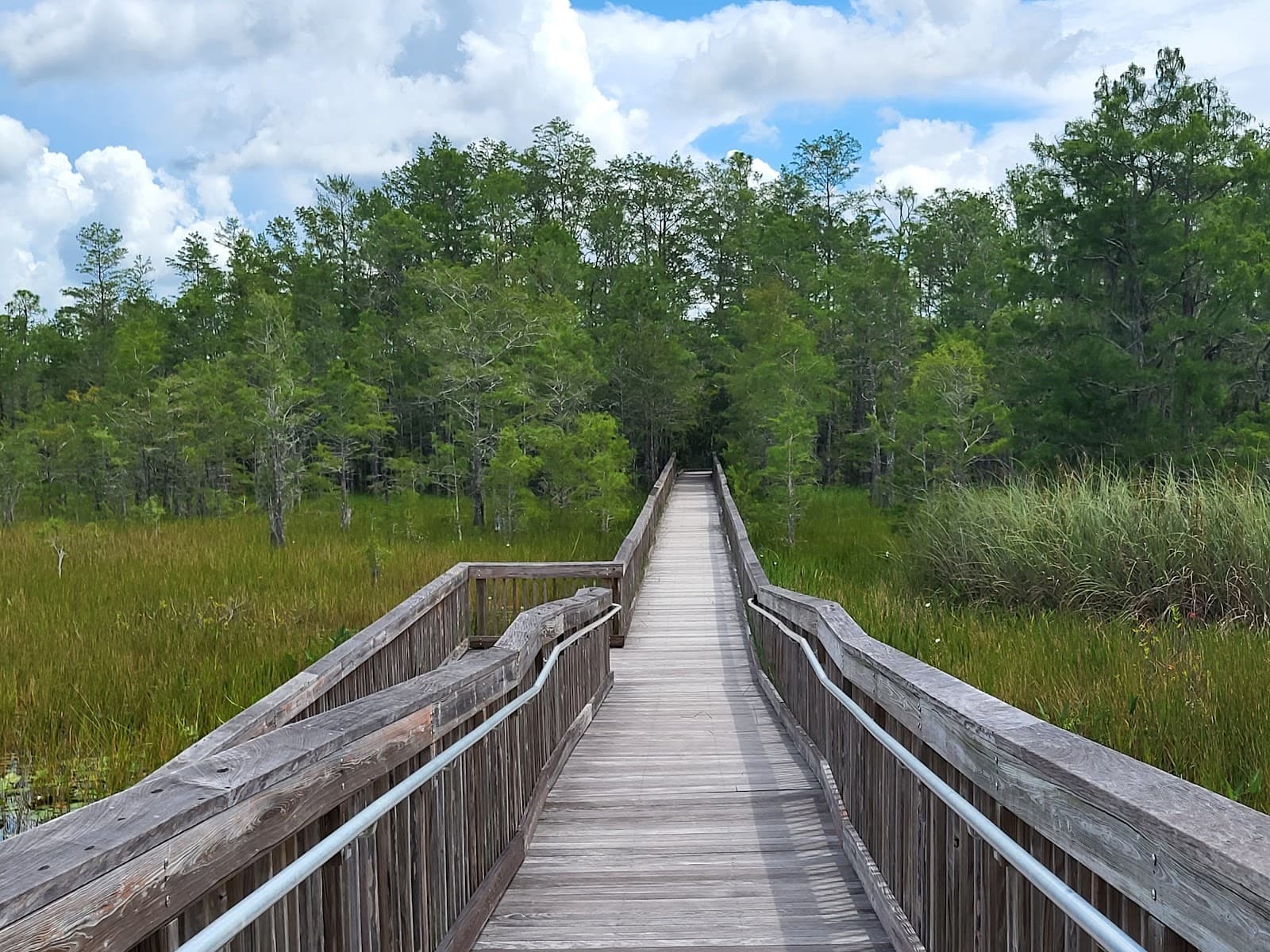 Grassy Waters Preserve - Image 1