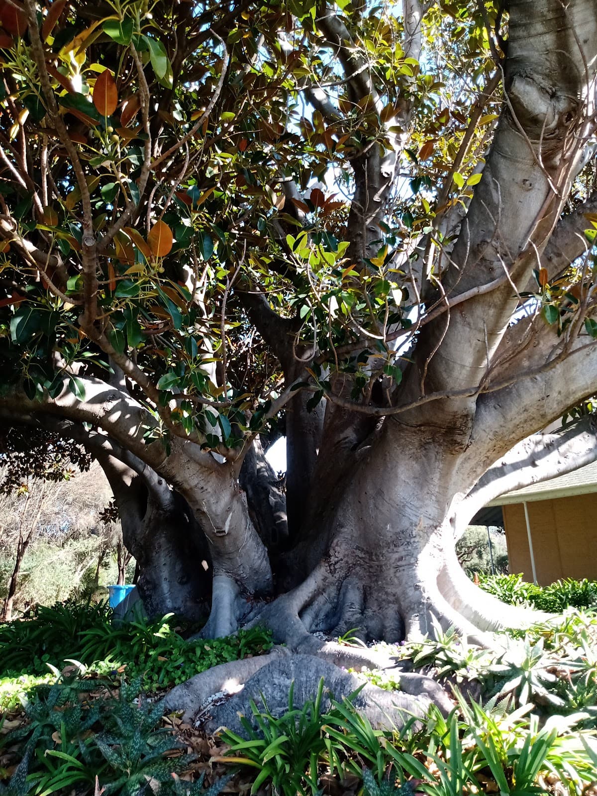 Black Rock House - Image 1