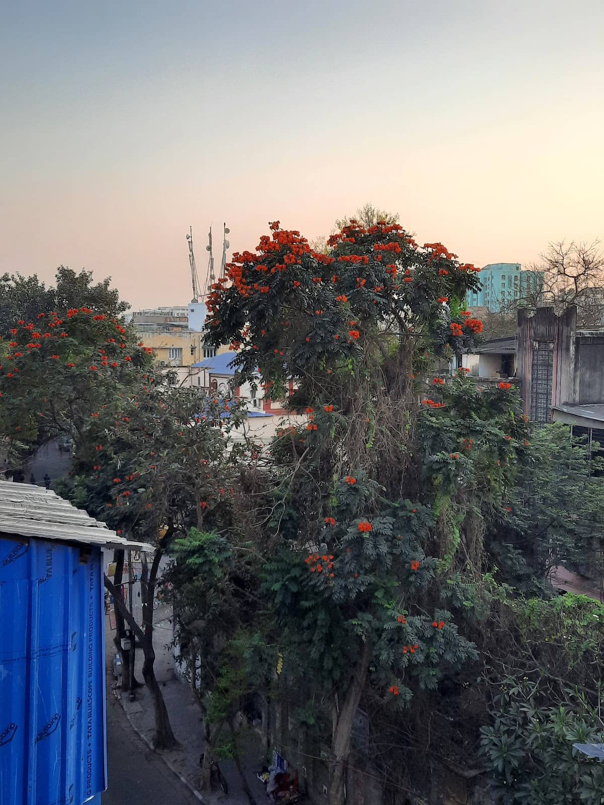Birla Mandir