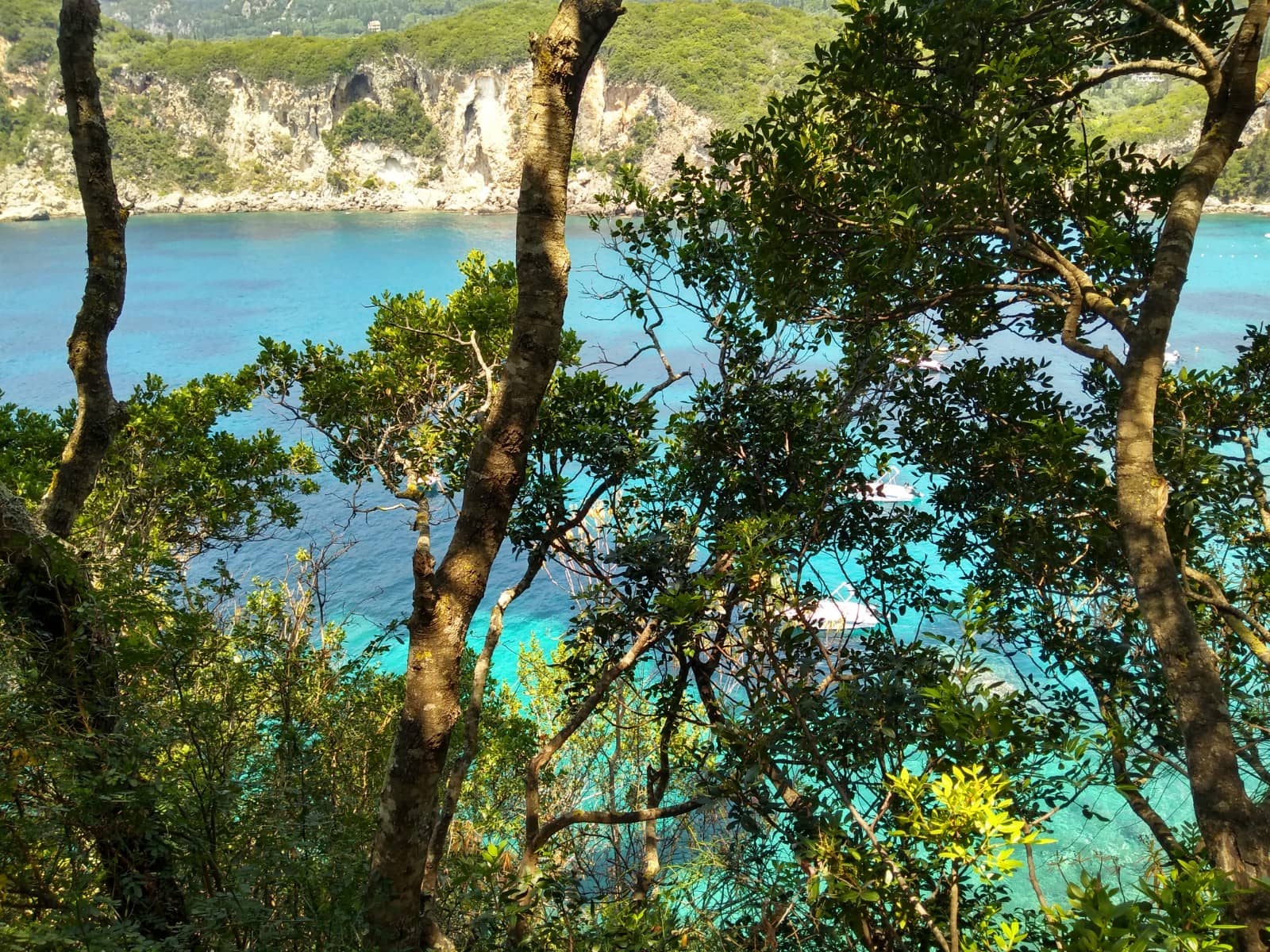 Vertical photo