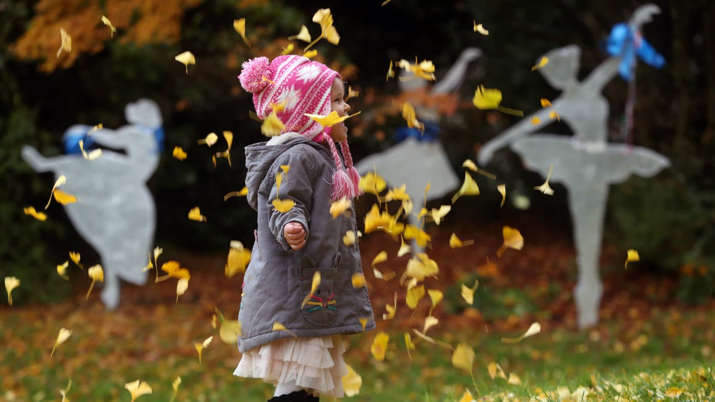 Dyffryn Gardens - Image 1