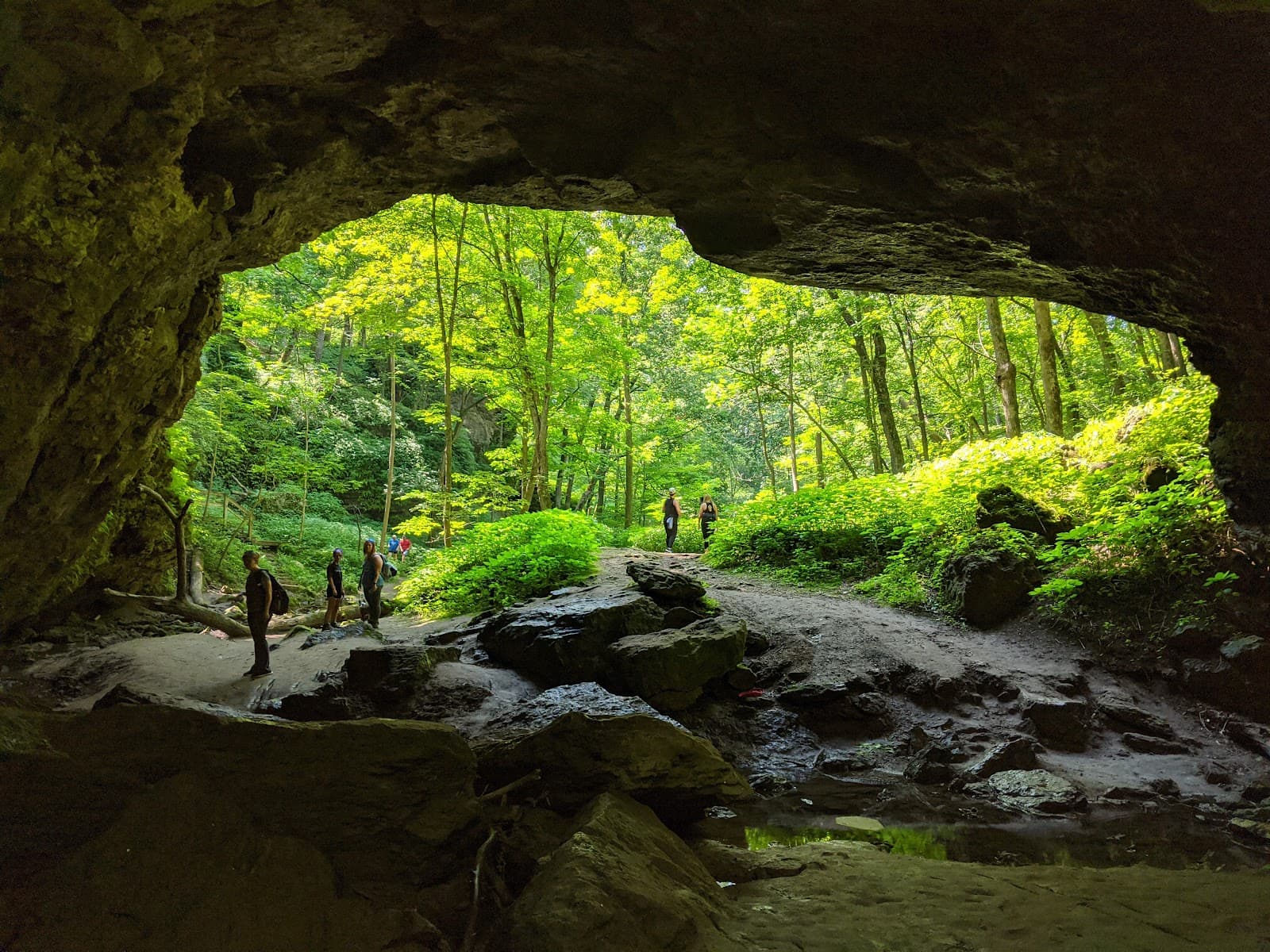 Maquoketa Caves State Park - Image 1