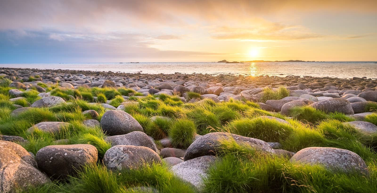Rocky Shoreline Exploration