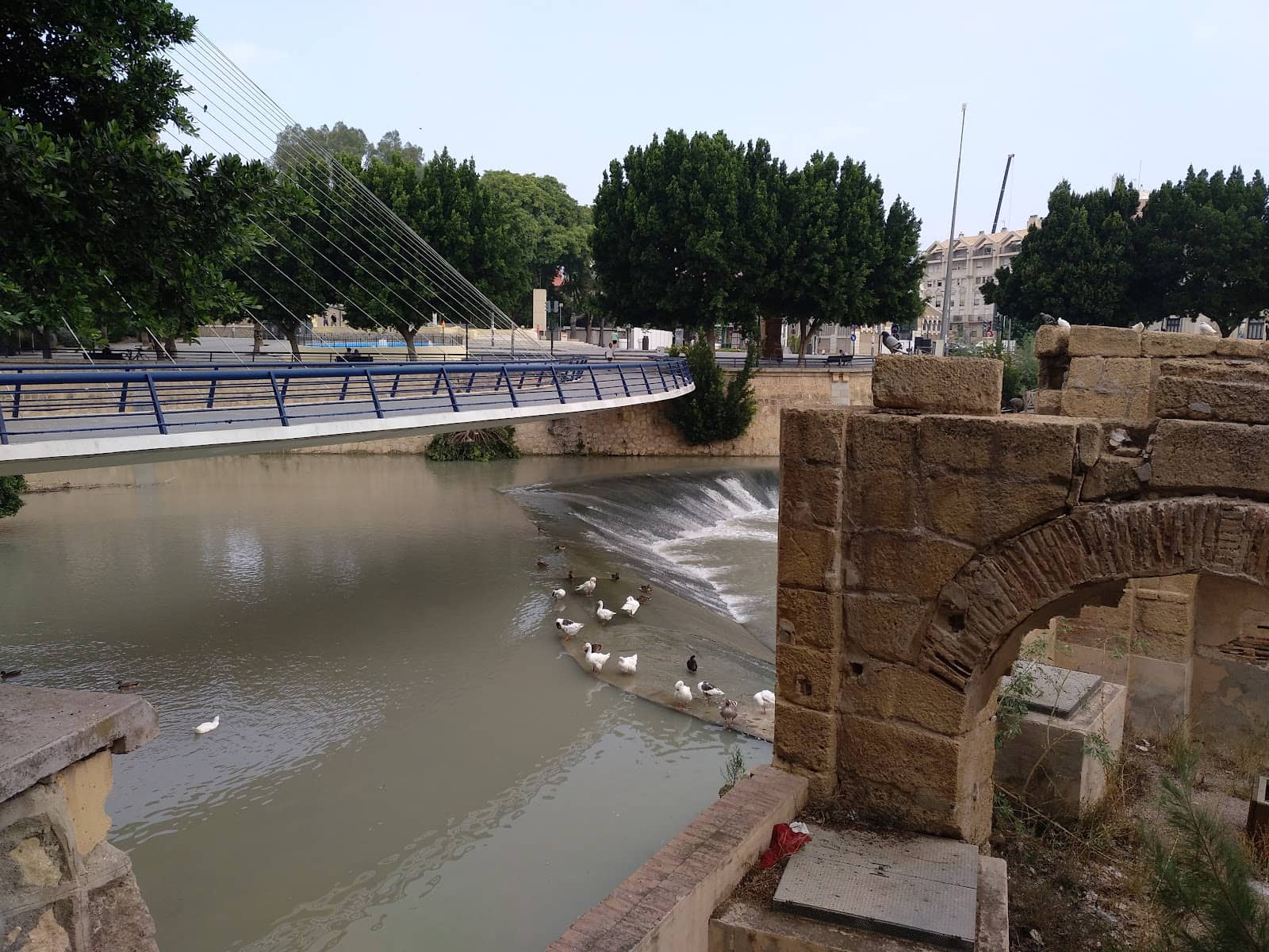 Cultural Hub