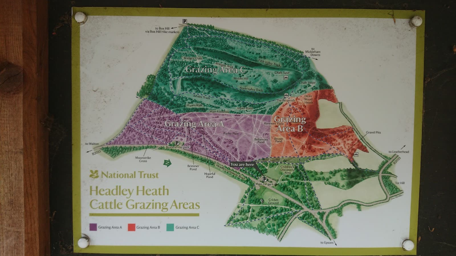 Headley Heath - Image 1