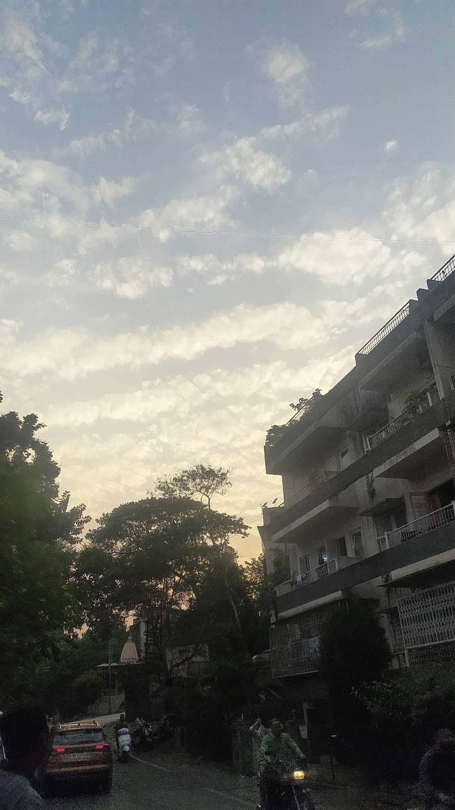 Vertical photo