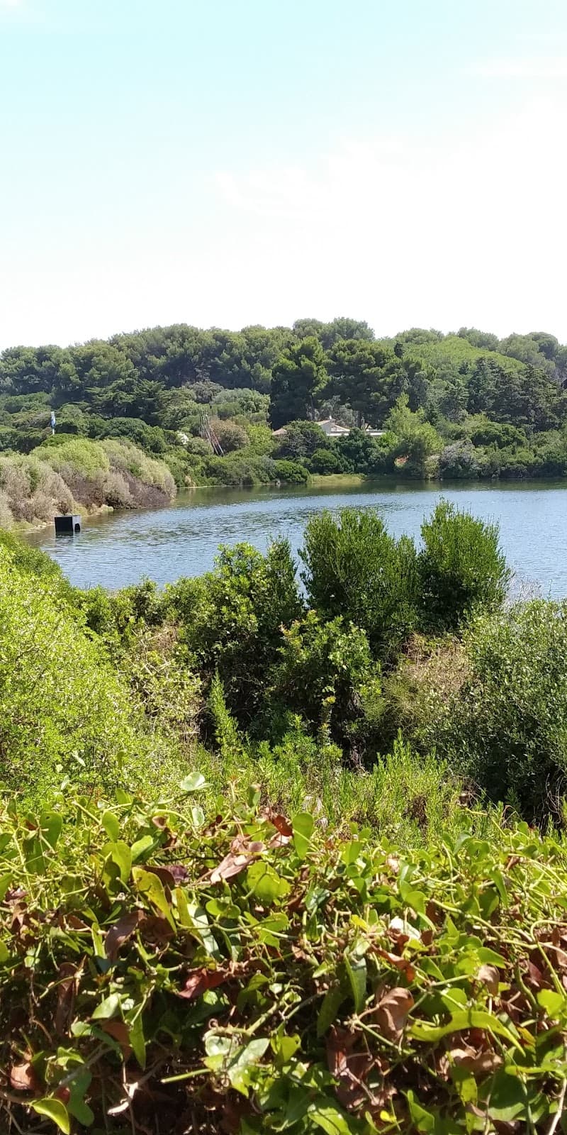 Étang du Batéguier - Image 1