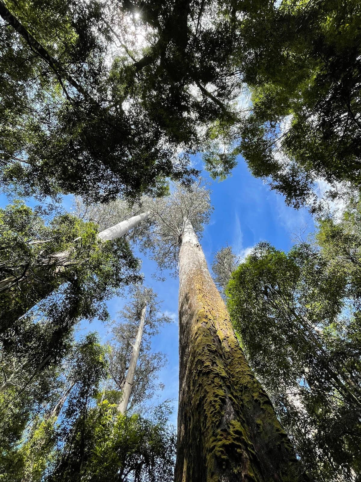 Vertical photo