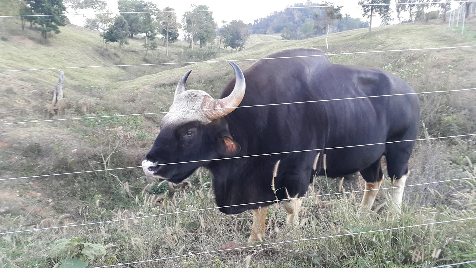 Khao Phaeng Ma Viewpoint - Image 1