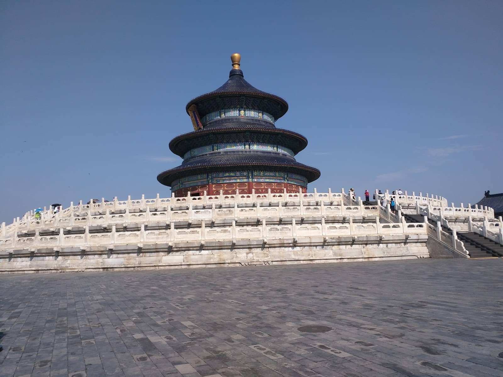 The White House Rose Garden