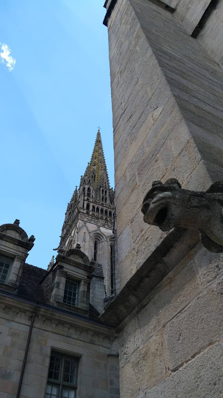 Vertical photo