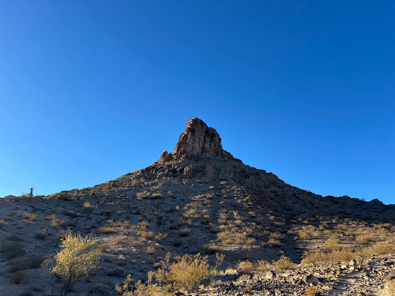 Vertical photo