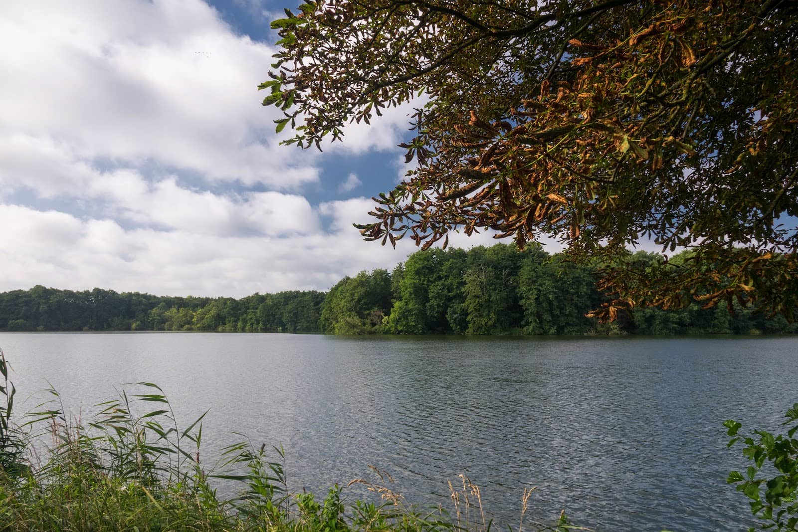 Pristine Nature Oasis