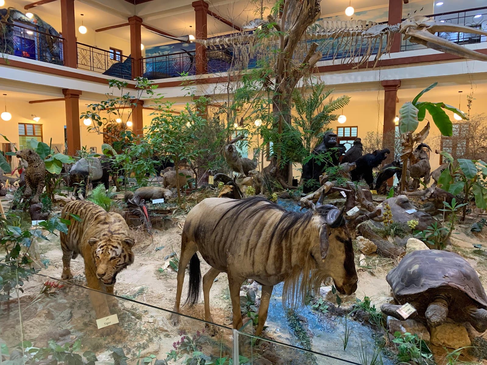 Bait Al Othman Museum - Image 1