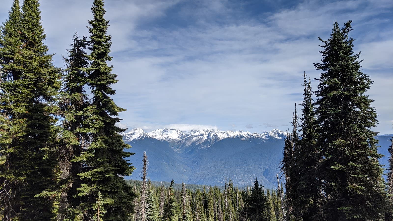 Frisby Ridge Trail - Image 1