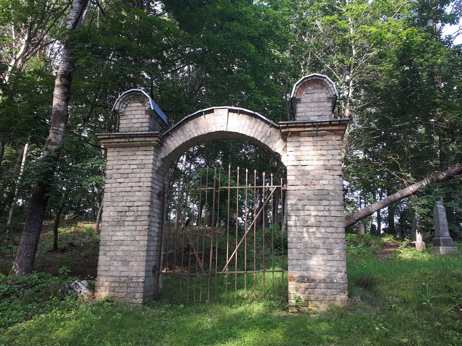 Vertical photo