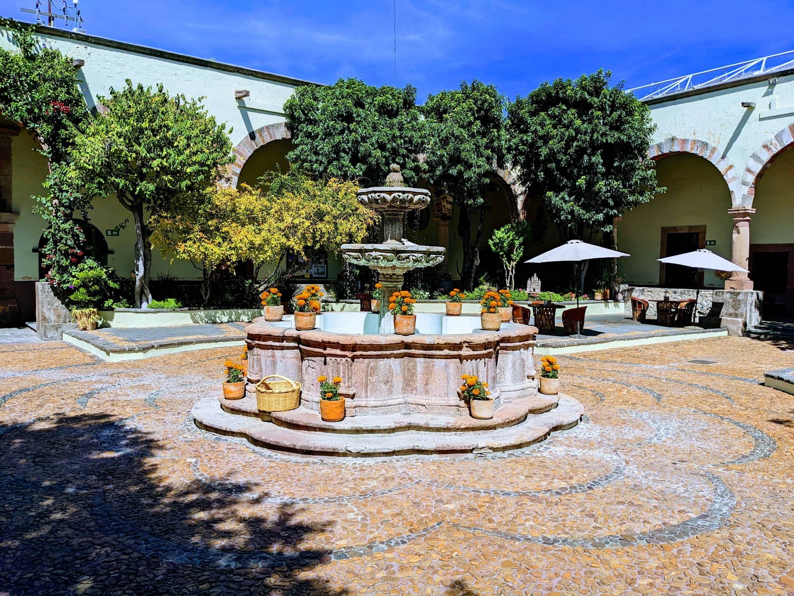 Art Galleries & Exhibitions