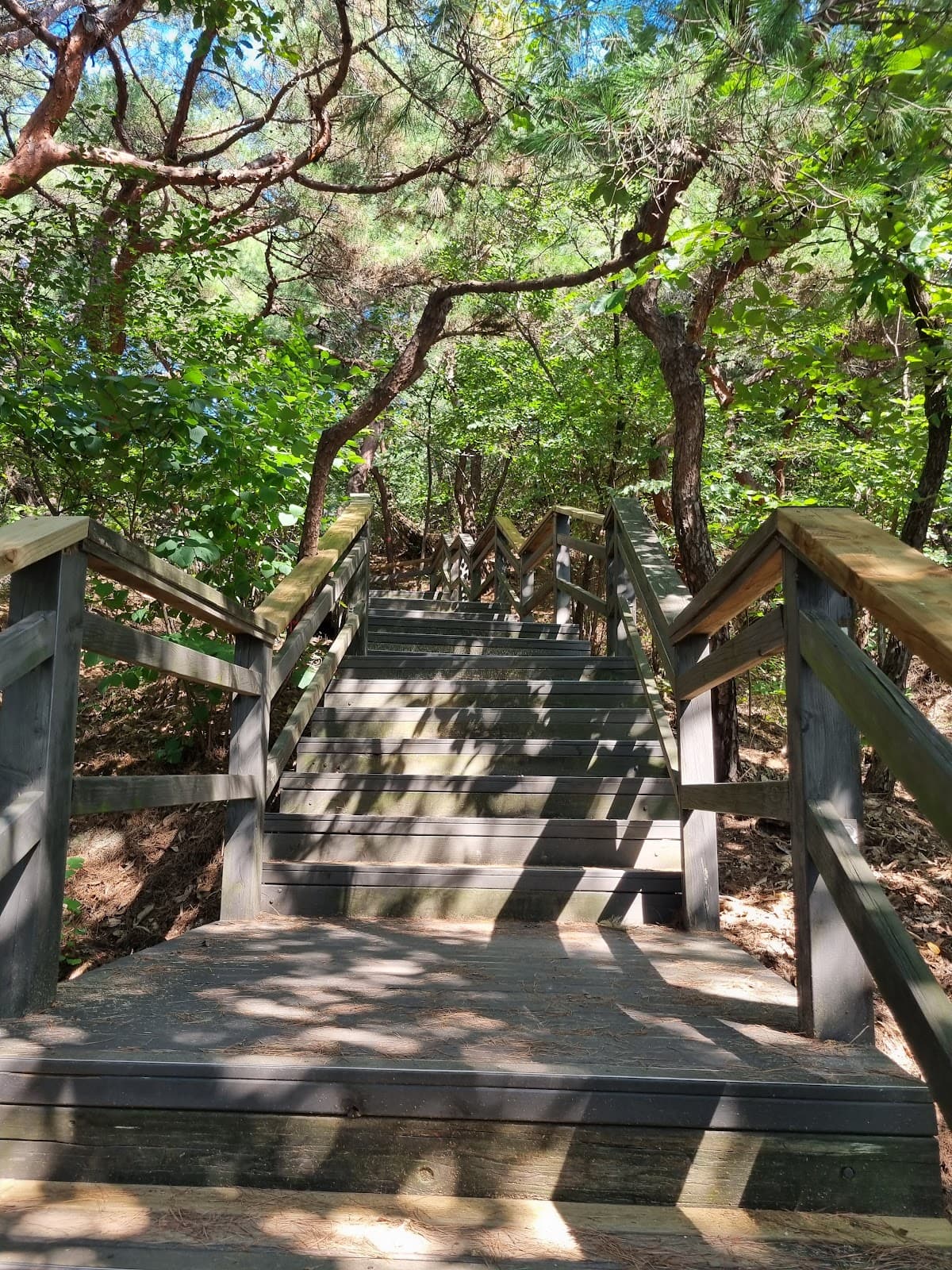 Bugaksan Trail Seoul - Image 1