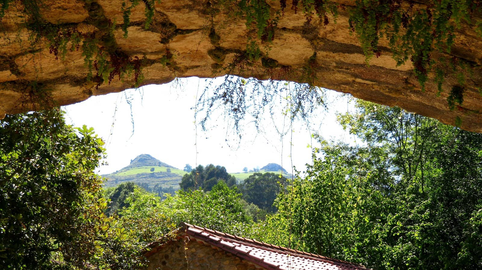 Vertical photo
