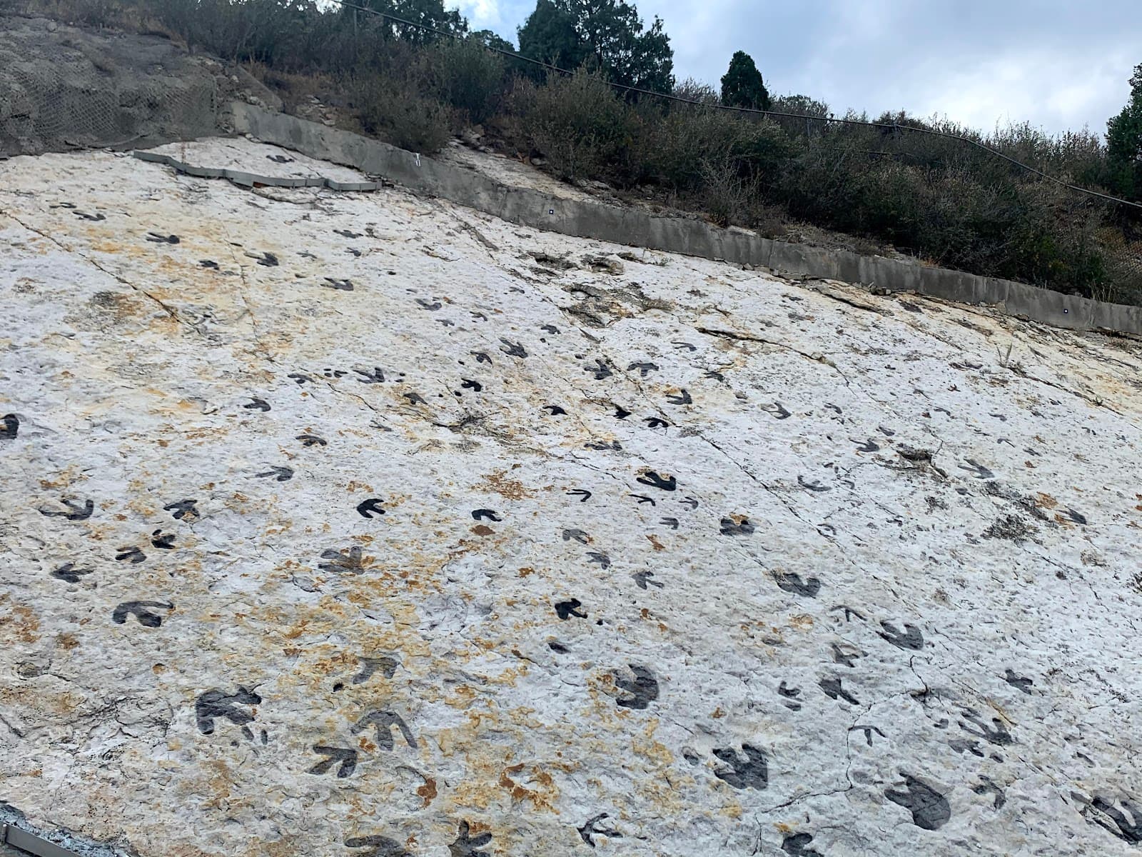 Dinosaur Ridge Colorado - Image 1