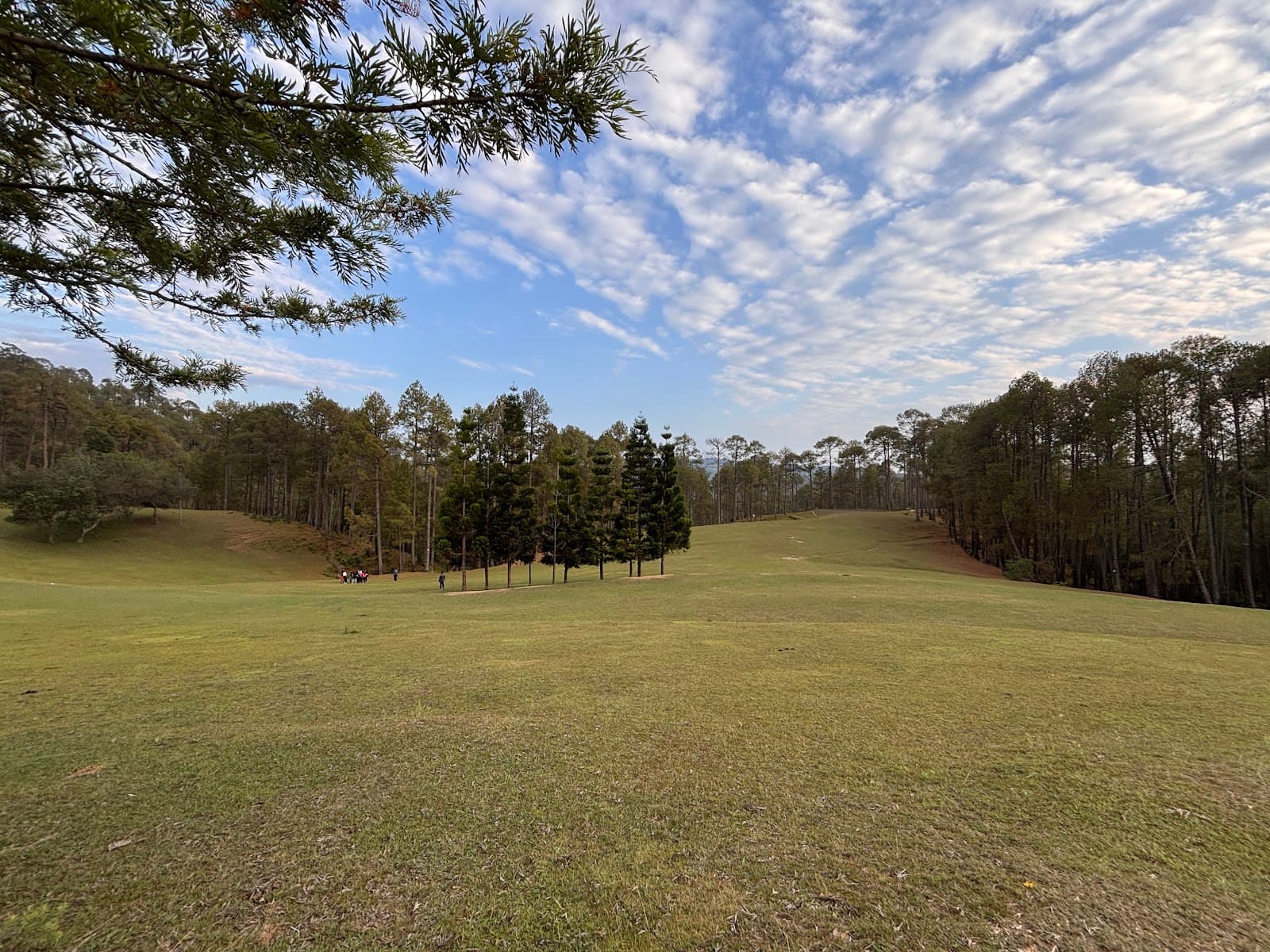 Upat Golf Course (Ranikhet) - Image 1
