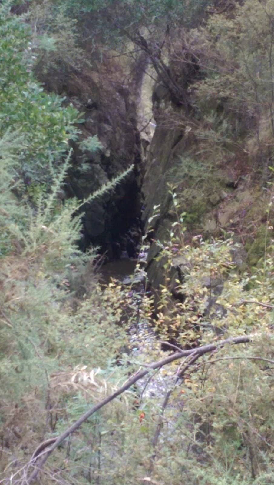 Vertical photo