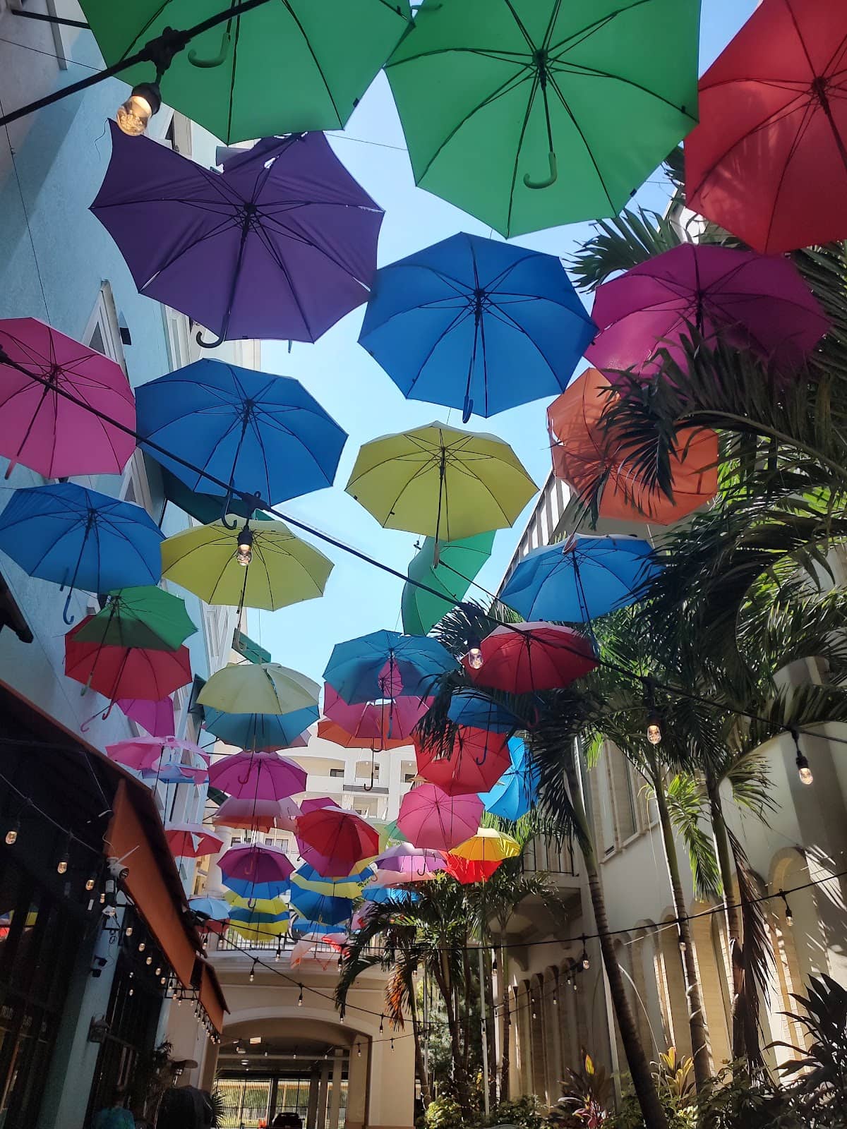 Local Culinary Delights