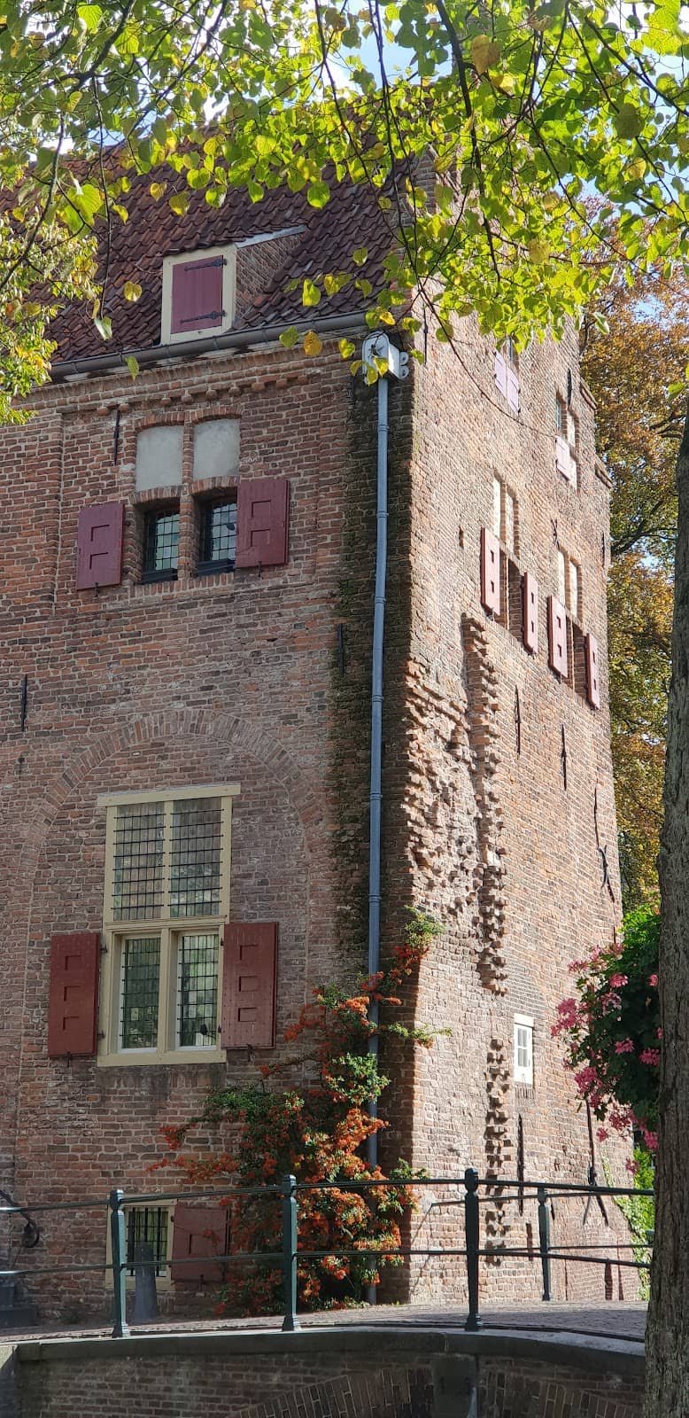 Vertical photo