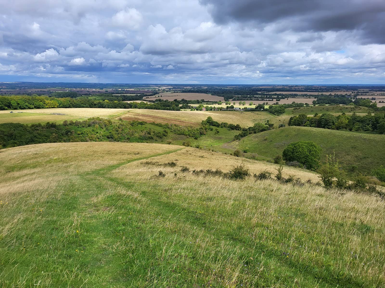 Woodland and Open Fields