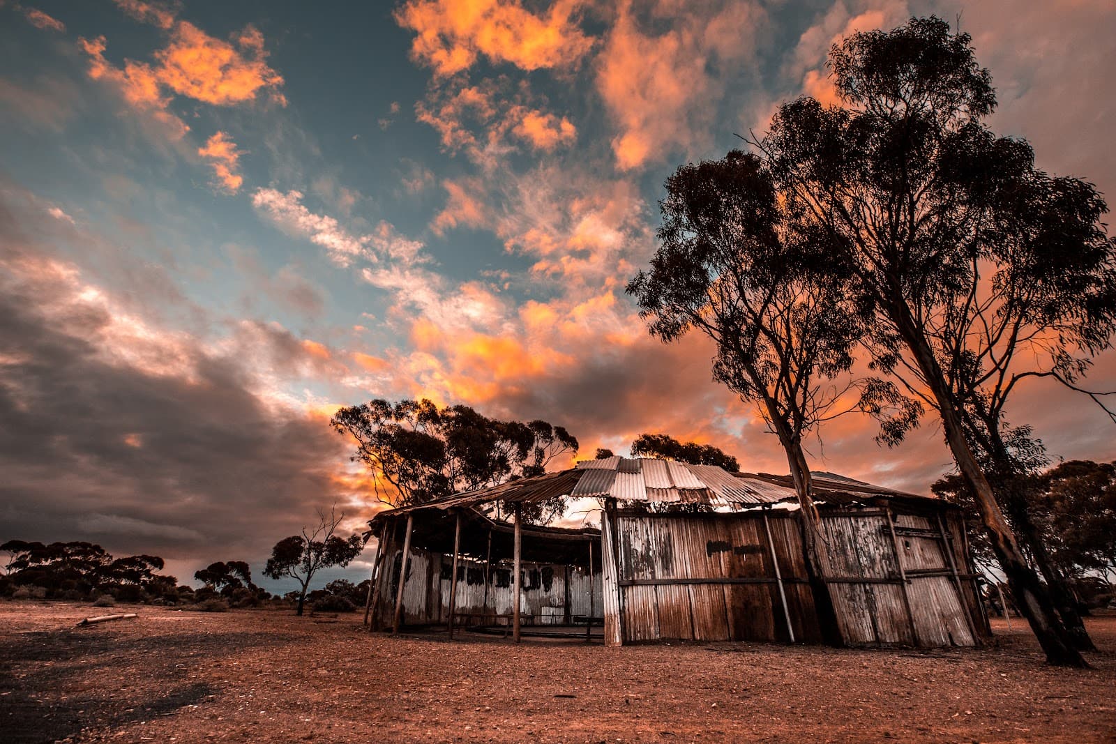 Bush Two-Up School - Image 1