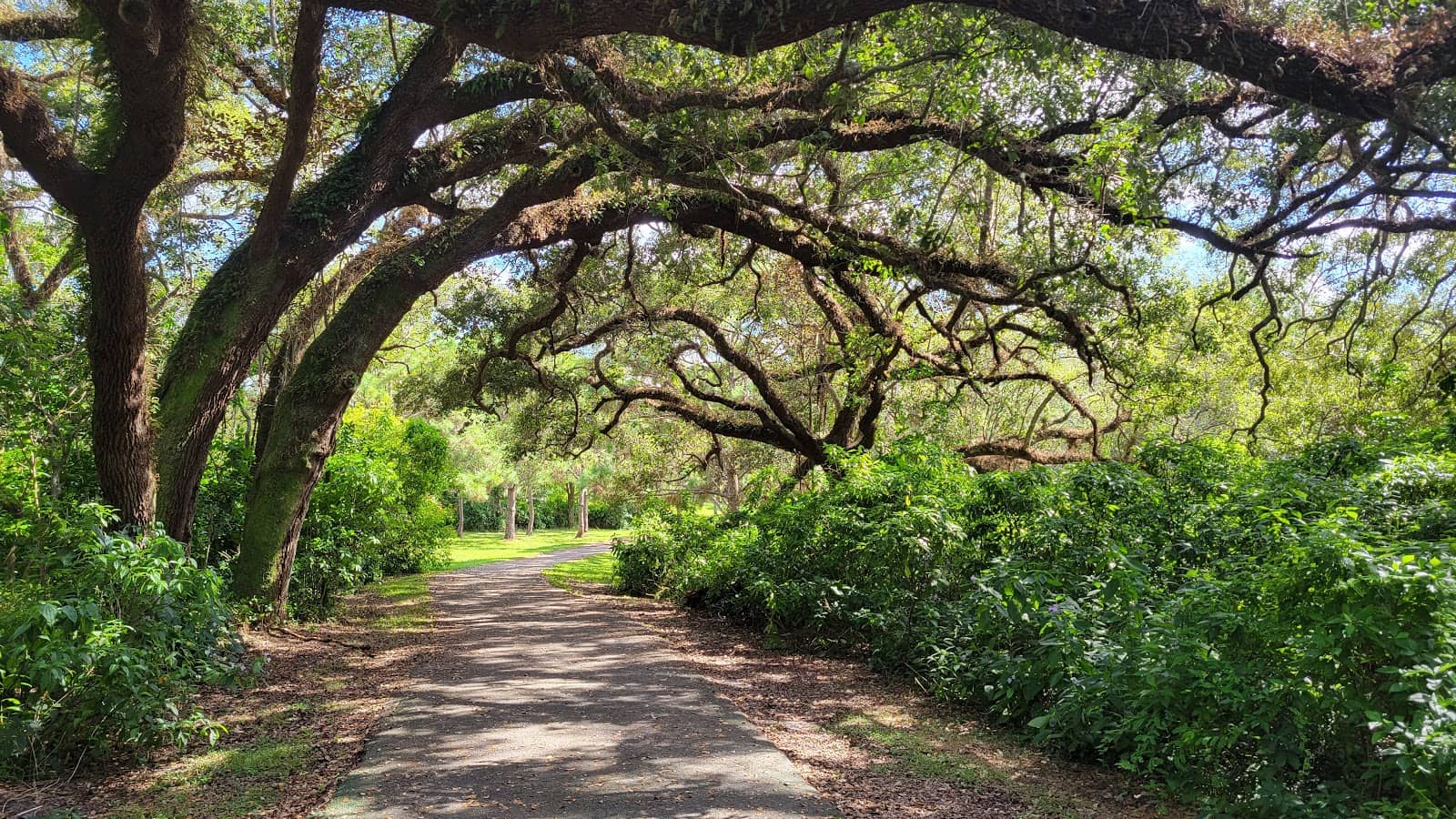 Nature Trails