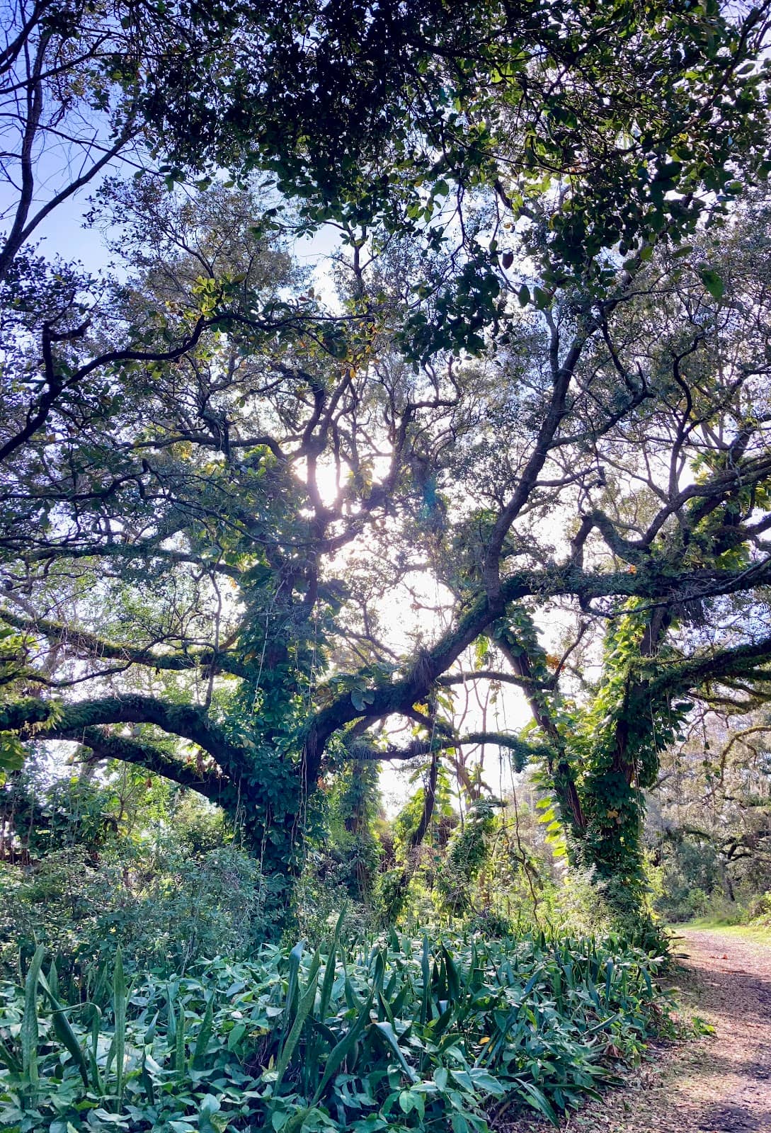 Vertical photo