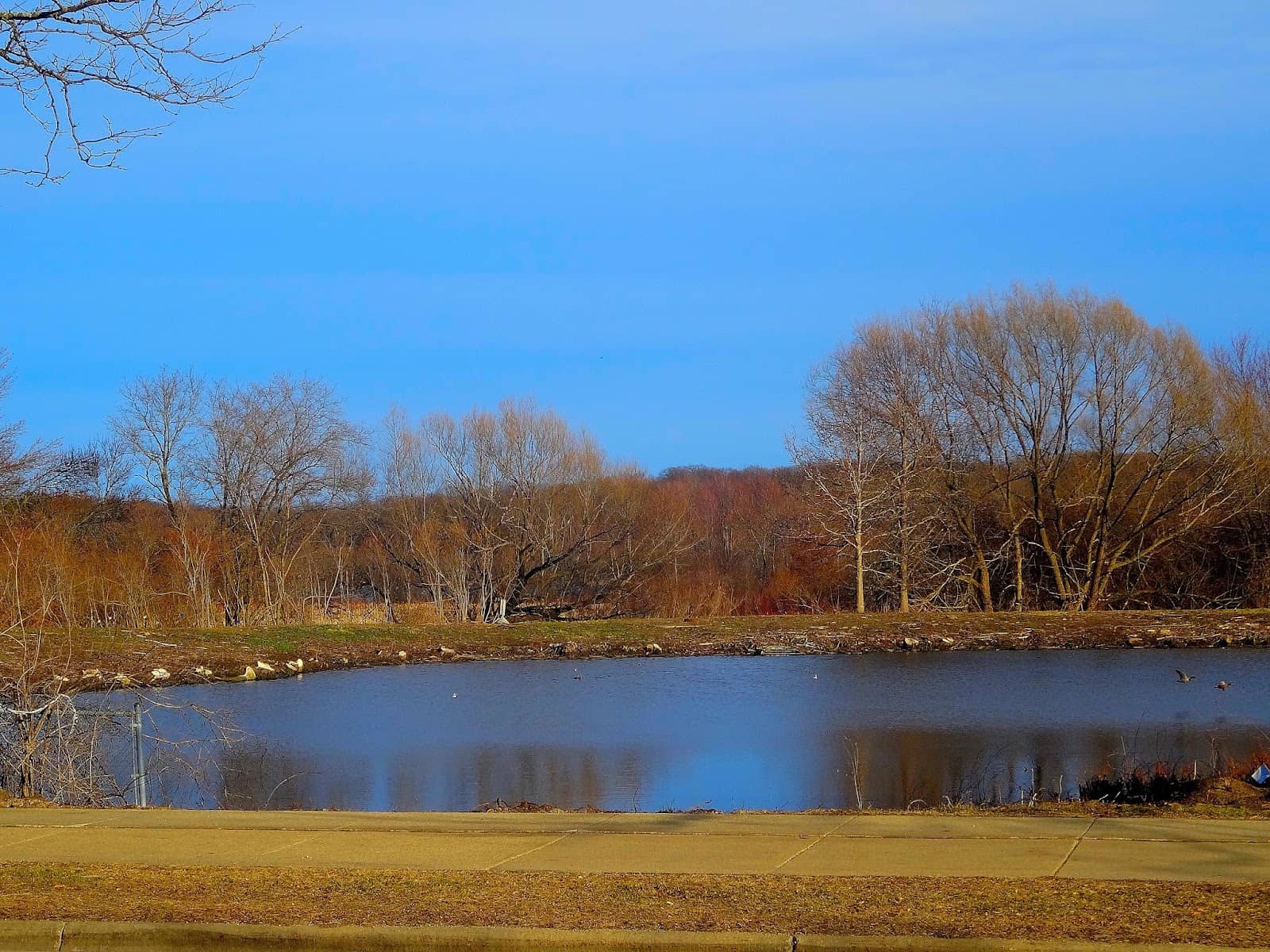 Monroe Street Exploration