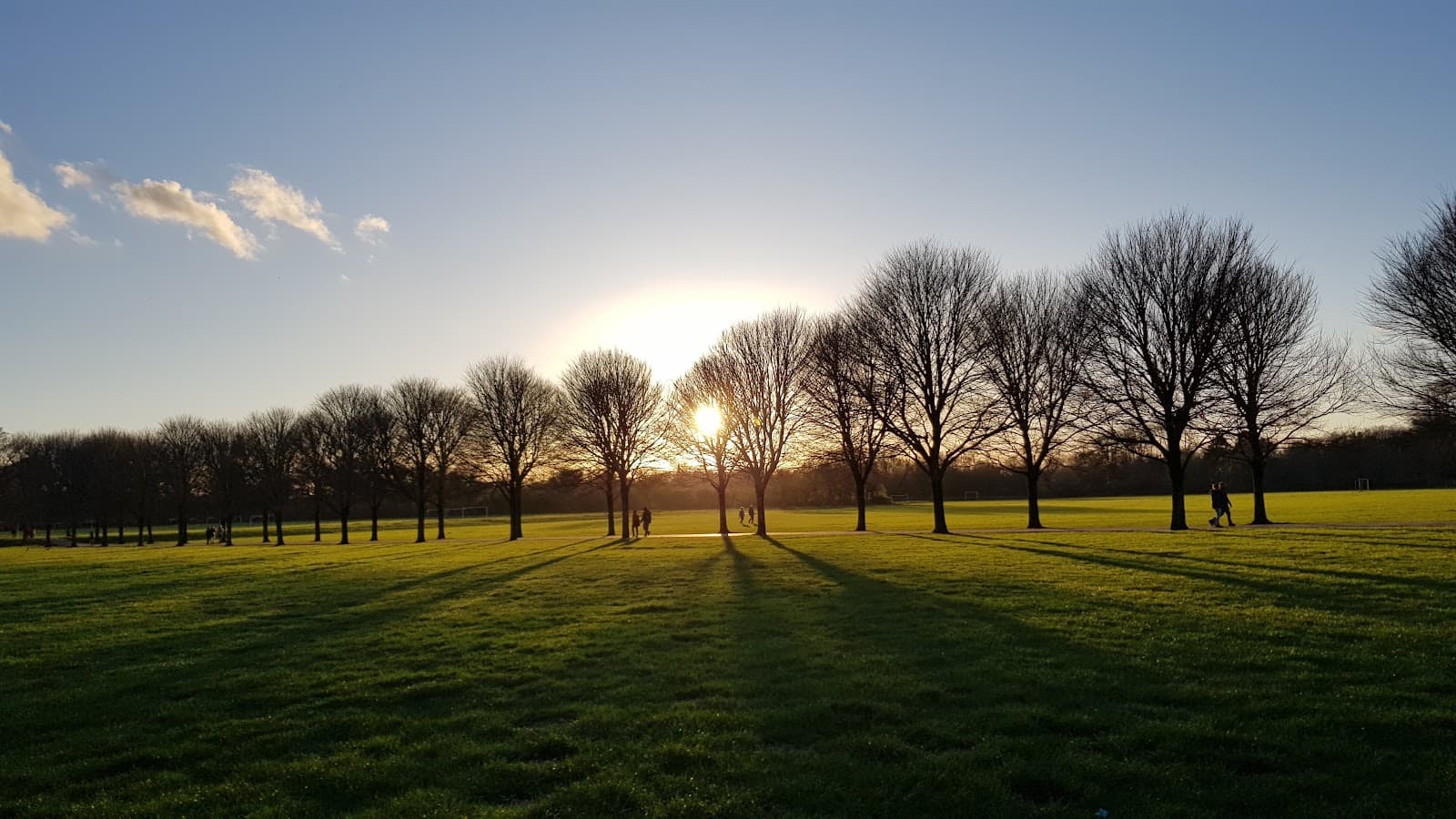 Pontcanna Fields Cardiff - Image 1