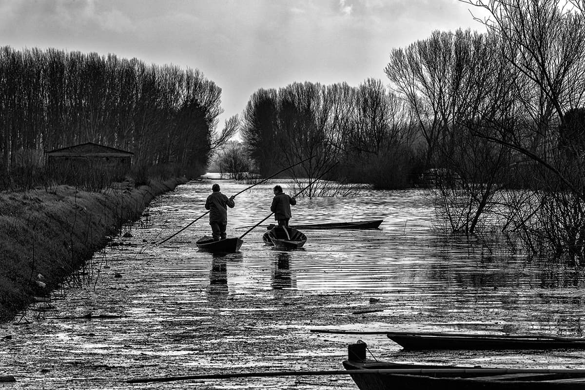 Padule di Fucecchio - Image 1